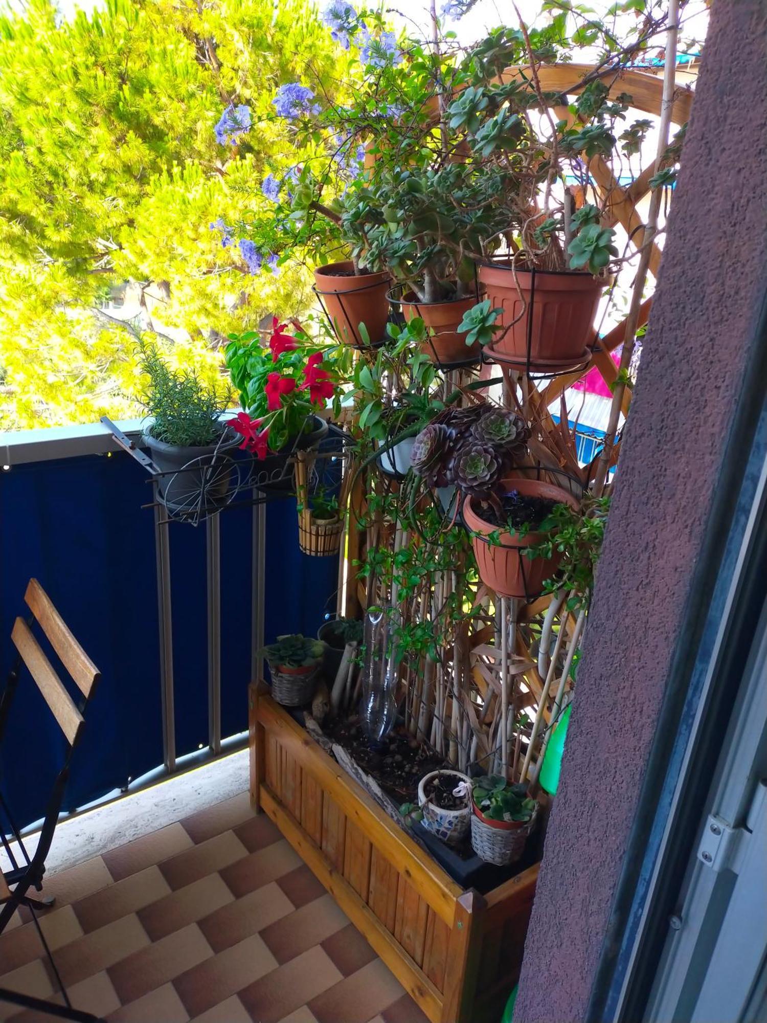 Appartamento Riviera Trilocale Wifi E Parcheggio Privato Ventimiglia Ngoại thất bức ảnh